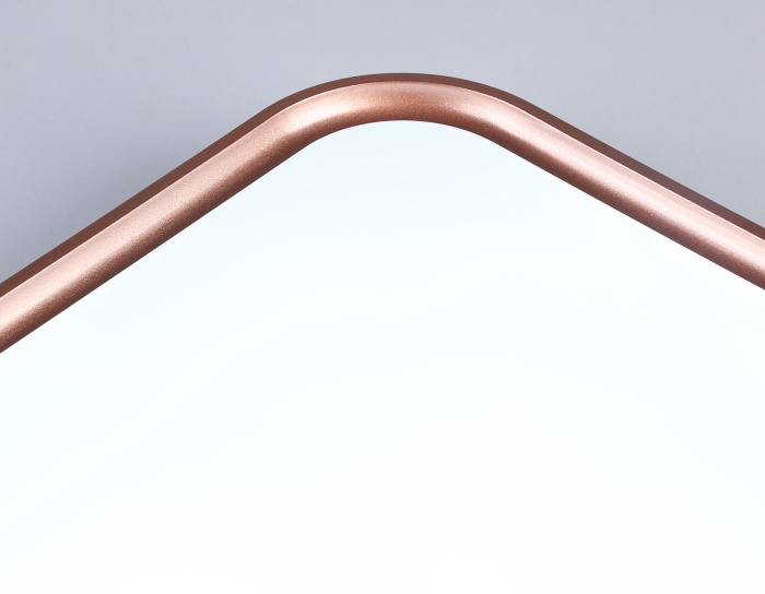 Потолочный светодиодный светильник Ambrella light FZ1265