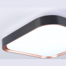 Потолочный светодиодный светильник Ambrella light FZ1265