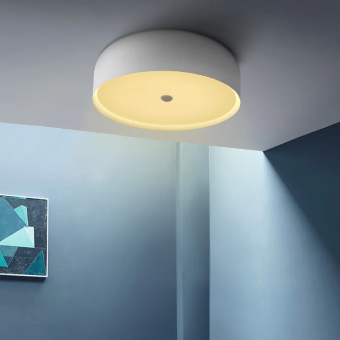 Потолочный светильник CYLINDER C White ImperiumLoft