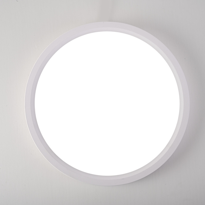 Потолочный светильник SLIM D22,5 Белый ImperiumLoft