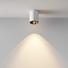 Потолочный светильник Maytoni Alfa LED C064CL-8W3K-RD-WB
