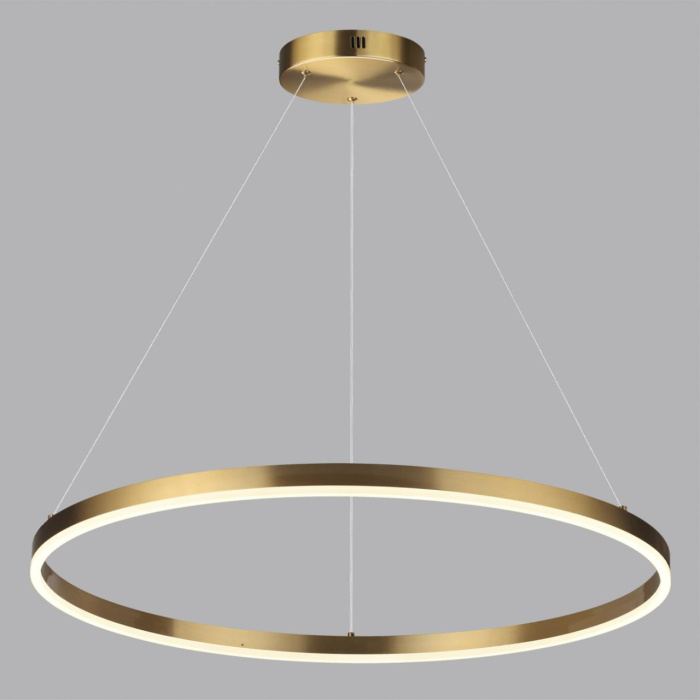 Светильник подвесной Lumion Echo 6531/67L