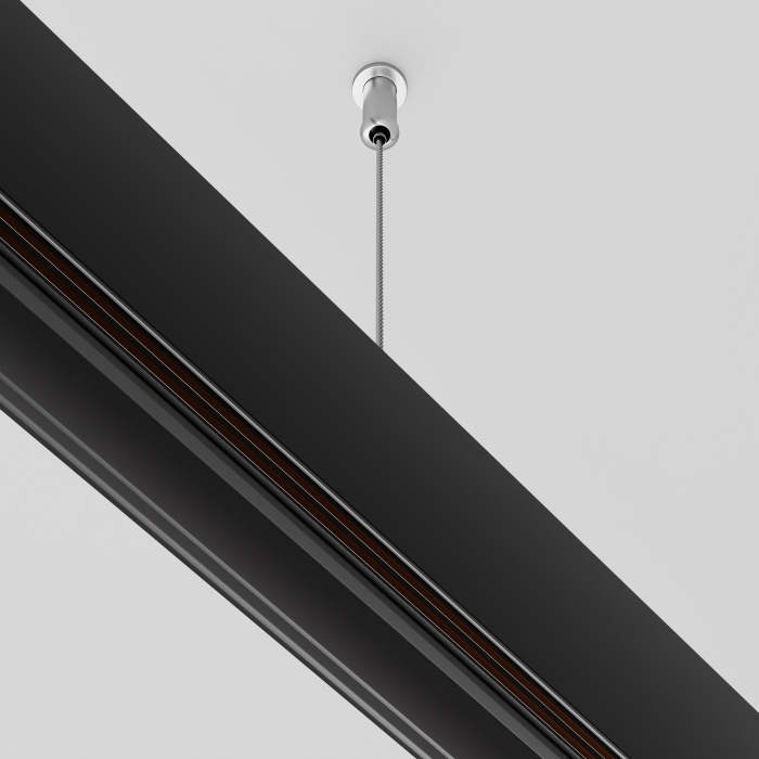 Подвес тросовый 2 шт. Exility черный Maytoni TRA034SW-2B