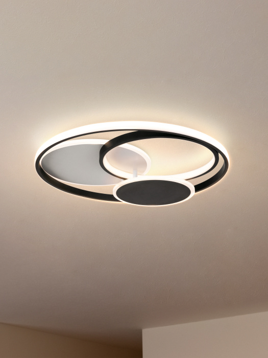 Потолочный светильник Freya Cosmic Market FR10015CL-L94WB