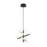 Подвесной светильник Freya Brilliance FR5557PL-L14B