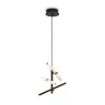 Подвесной светильник Freya Brilliance FR5557PL-L14B