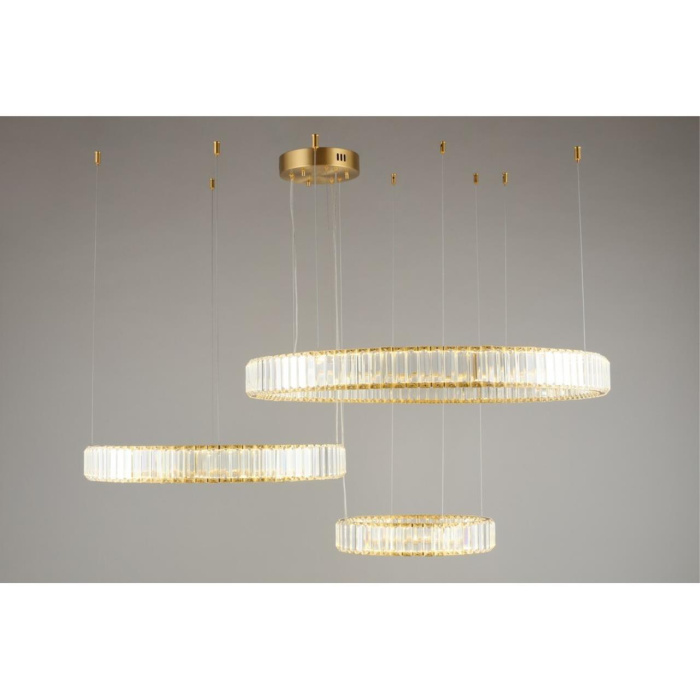 Подвесной светодиодный светильник Aployt Nicoletta APL.026.03.100