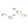 Потолочный светильник Ambrella light FL51609