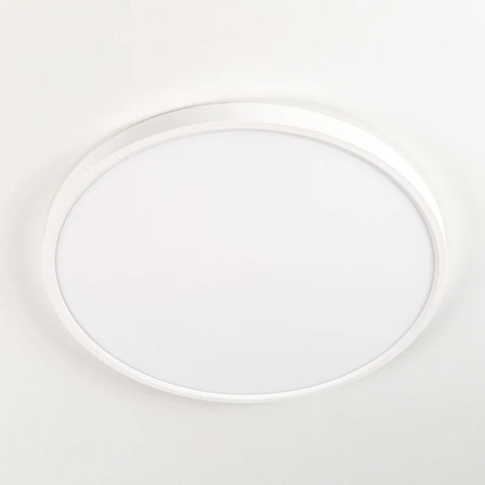 Светильник накладной Citilux Бейсик CL738320V