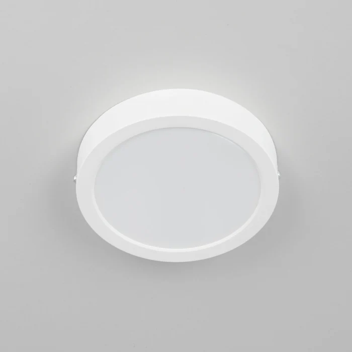 Светильник накладной Citilux Галс CL5516N