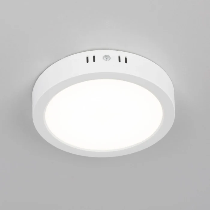 Светильник потолочный Citilux Галс CL5516N