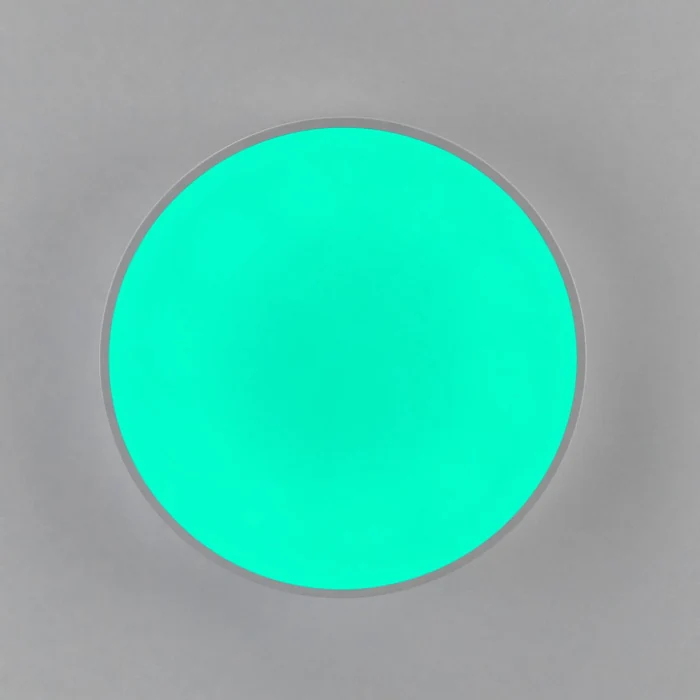 Светильник потолочный Citilux Купер CL72470G0