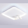 Потолочный светодиодный светильник с пультом управления Ambrella light FL5114