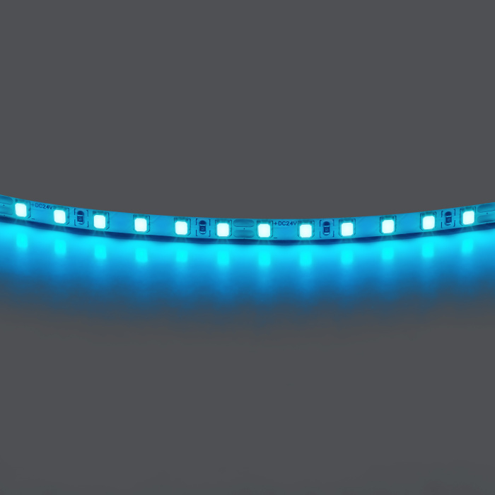Лента цветного свечения 24V, голубой 420516
