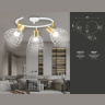 Настенно-потолочный спот в стиле лофт Ambrella light TR8605