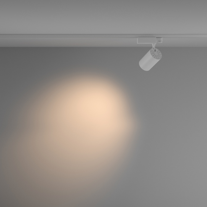 Трековый светильник Maytoni Vuoro TR029-3-20W3K-M-W