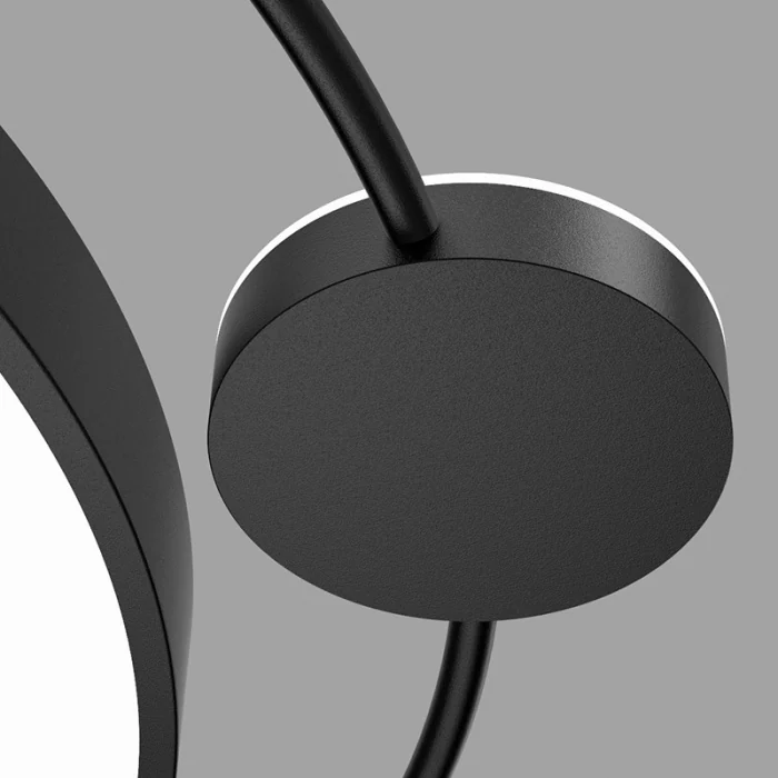 Потолочный светильник DESTIN D40 Black ImperiumLoft