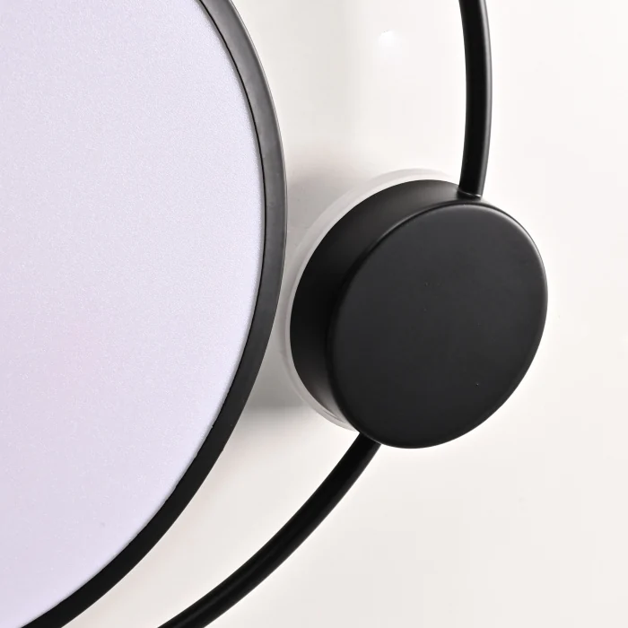 Потолочный светильник DESTIN D40 Black ImperiumLoft