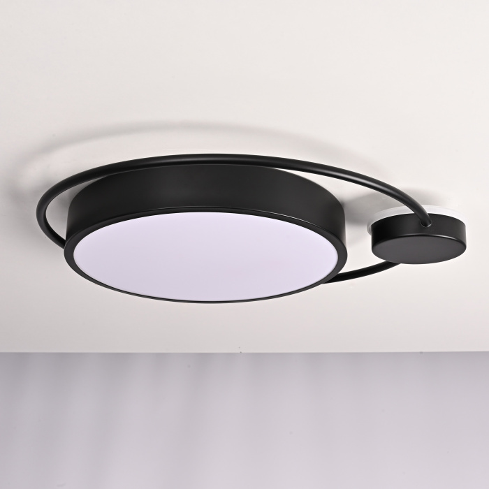 Потолочный светильник DESTIN D40 Black ImperiumLoft