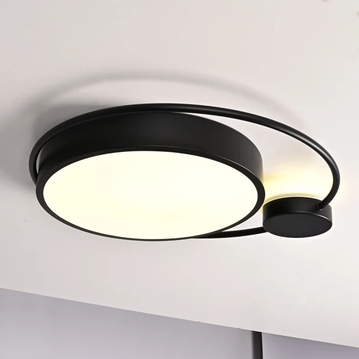 Потолочный светильник DESTIN D40 Black ImperiumLoft