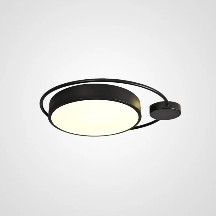 Потолочный светильник DESTIN D40 Black ImperiumLoft