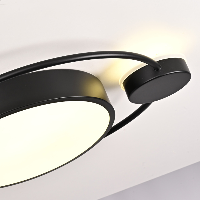 Потолочный светильник DESTIN D40 Black ImperiumLoft