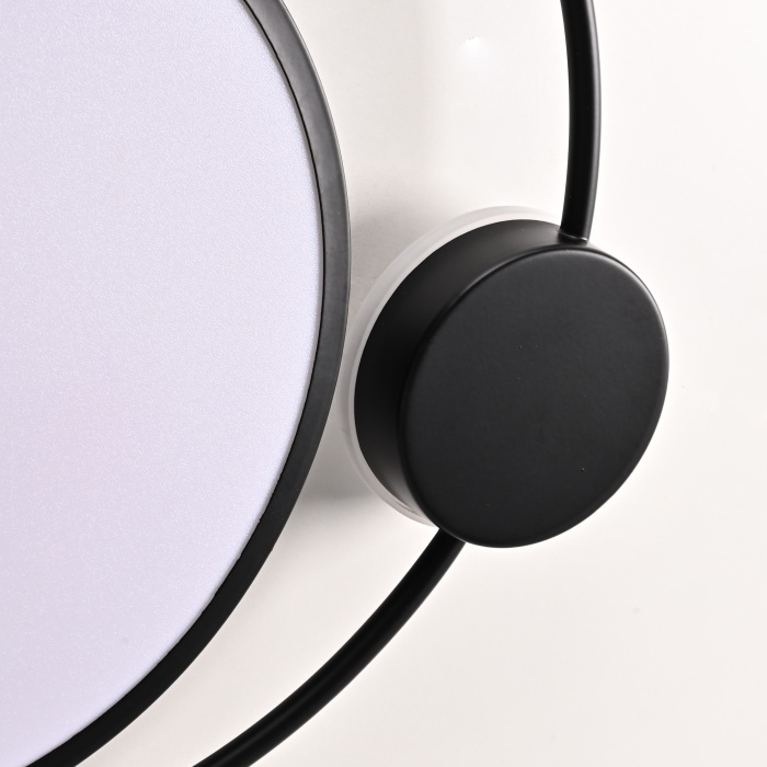 Потолочный светильник DESTIN D40 Black ImperiumLoft