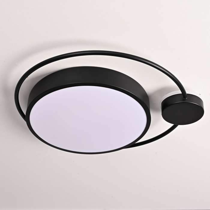 Потолочный светильник DESTIN D40 Black ImperiumLoft