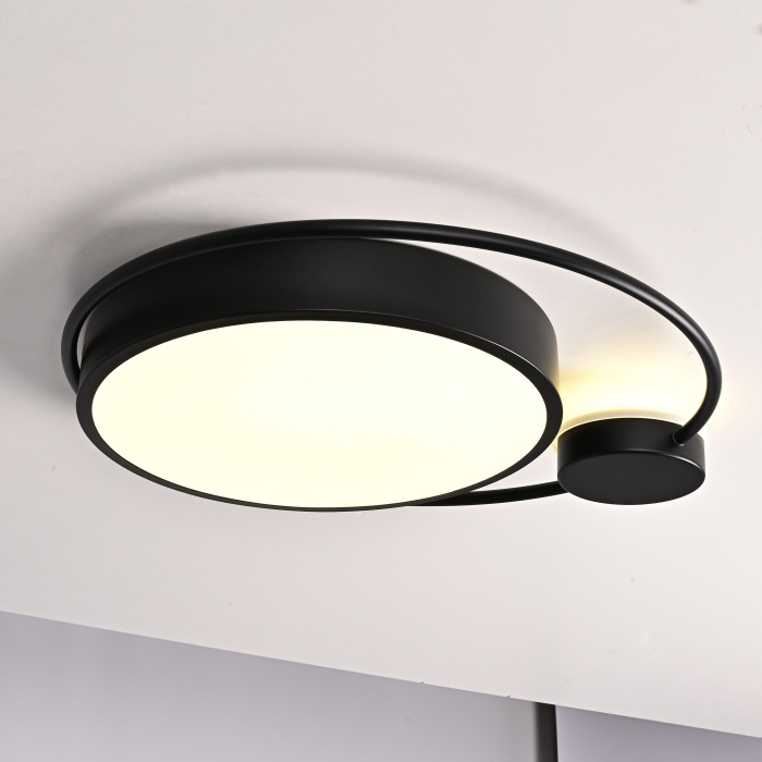 Потолочный светильник DESTIN D40 Black ImperiumLoft