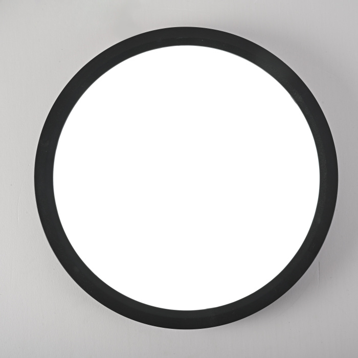 Потолочный светильник SLIM D22,5 Черный ImperiumLoft