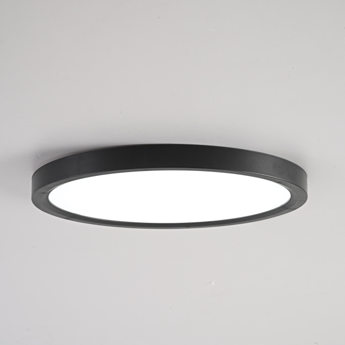 Потолочный светильник SLIM D22,5 Черный ImperiumLoft