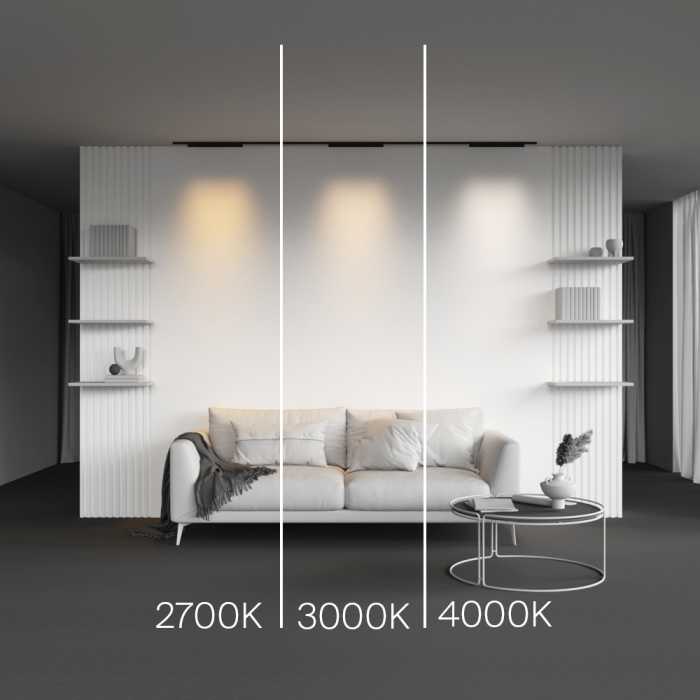 Трековый светильник Maytoni Points TR193-1-20W2.7K-M-B