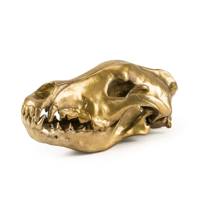 Статуэтка Seletti Wunderkrammer Wolf Skull 10892