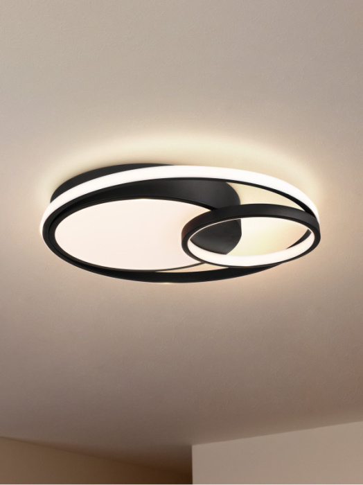 Потолочный светильник Freya Nation Market FR10028CL-L80B