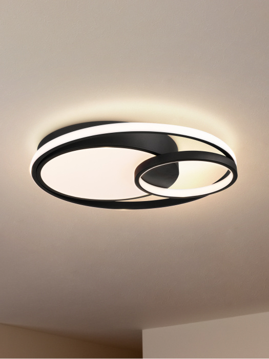 Потолочный светильник Freya Nation Market FR10028CL-L80B