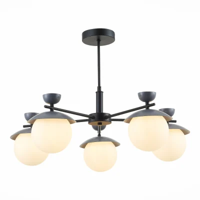 Светильник потолочный EVOLUCE SLE220202-05