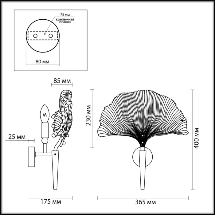 Настенный светильник Odeon Light Ventaglio 4870/1W