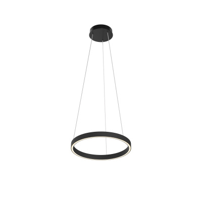 Подвесной светильник Maytoni Rim MOD058PL-L22BK