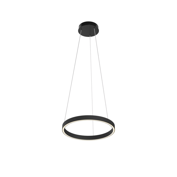 Подвесной светильник Maytoni Rim MOD058PL-L22BK