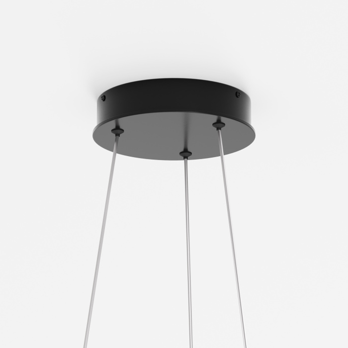 Подвесной светильник Maytoni Rim MOD058PL-L22BK