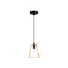 Подвесной светильник в стиле лофт Ambrella light TR80497