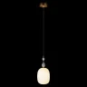 Подвесной светильник Loft it Family 10365/F