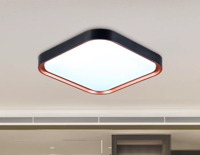 Потолочный светодиодный светильник Ambrella light FZ1271