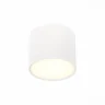 Светильник потолочный ST113.532.09 ST LUCE