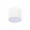 Светильник потолочный ST113.532.09 ST LUCE
