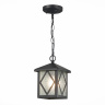 Светильник уличный подвесной SL084.403.01 ST LUCE