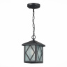 Светильник уличный подвесной SL084.403.01 ST LUCE