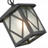 Светильник уличный подвесной SL084.403.01 ST LUCE