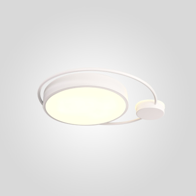 Потолочный светильник DESTIN D40 White ImperiumLoft