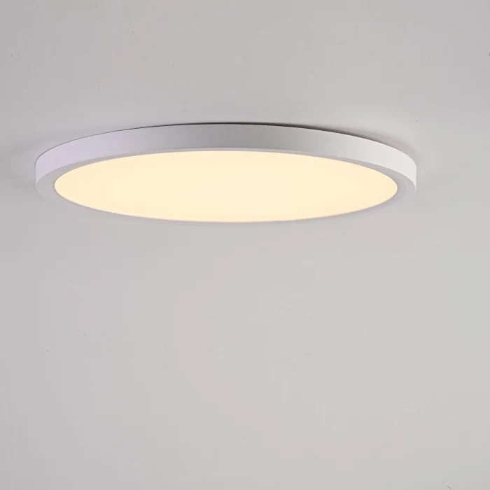 Потолочный светильник SLIM D30 Белый ImperiumLoft